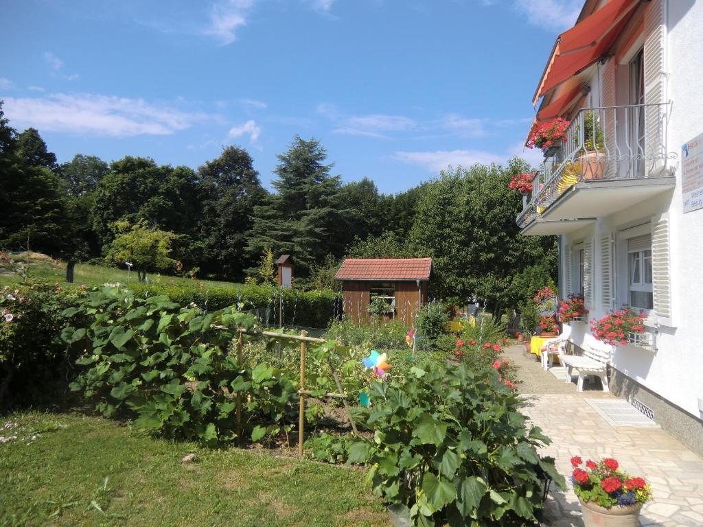Haus Marija M Hotel Badenweiler Exterior foto